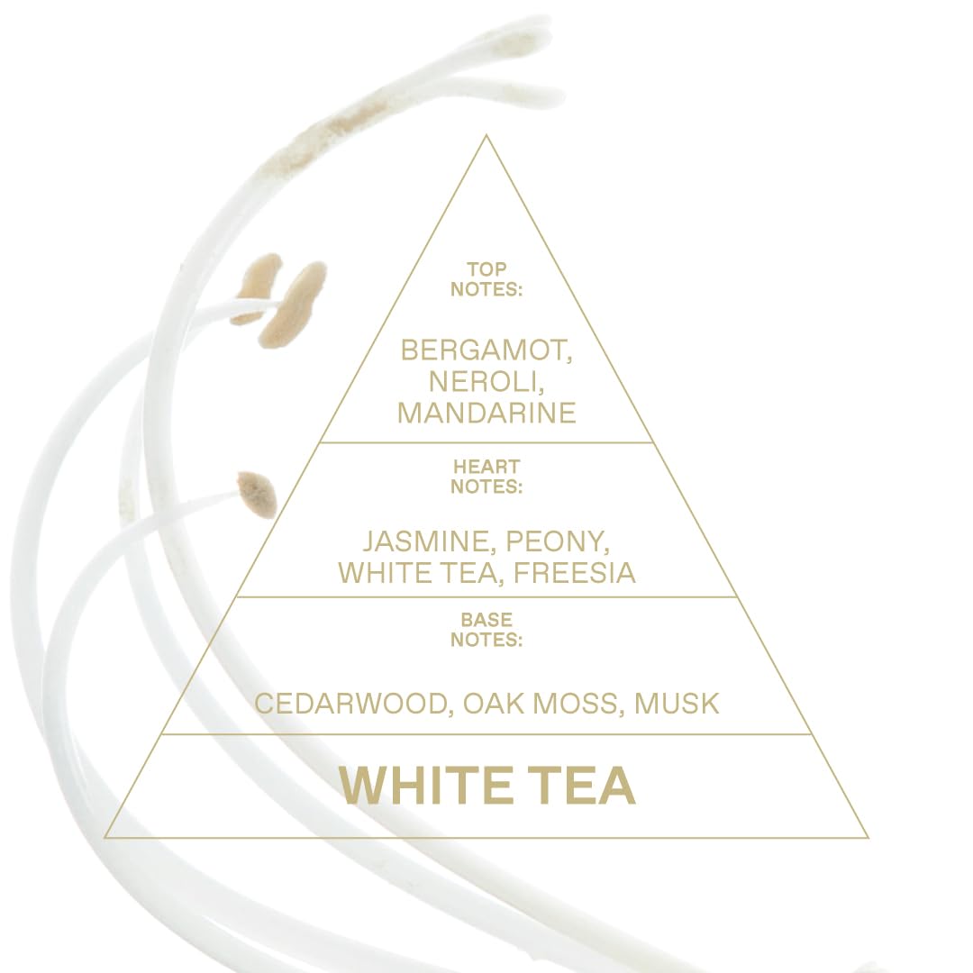 White Tea Eau De Toilette 1.69 FlOz T33323