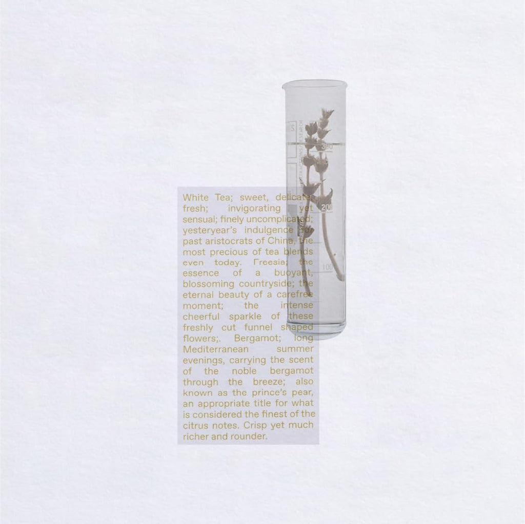 White Tea Eau De Toilette 1.69 FlOz T33323