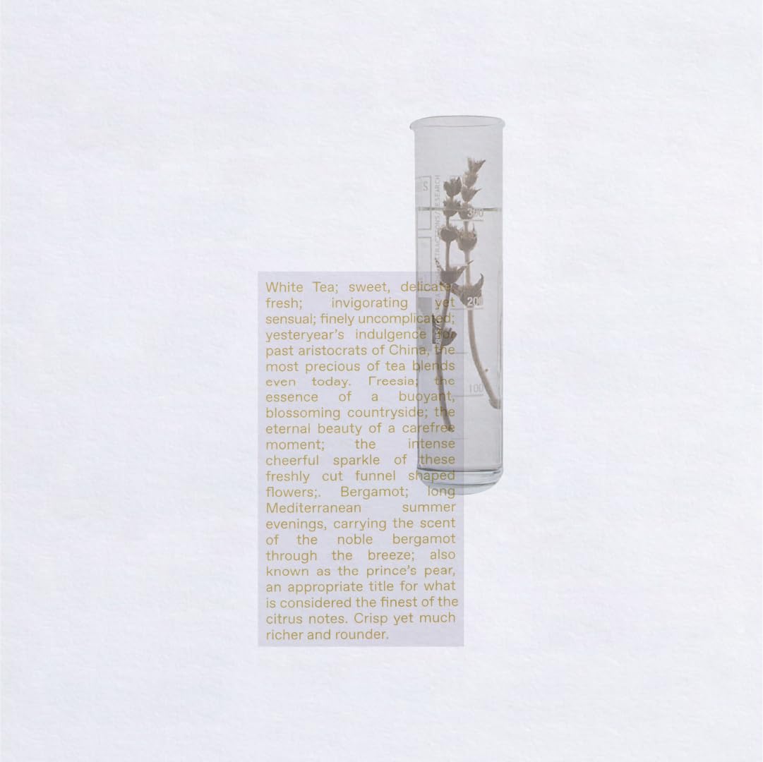 White Tea Eau De Toilette 1.69 FlOz T33323