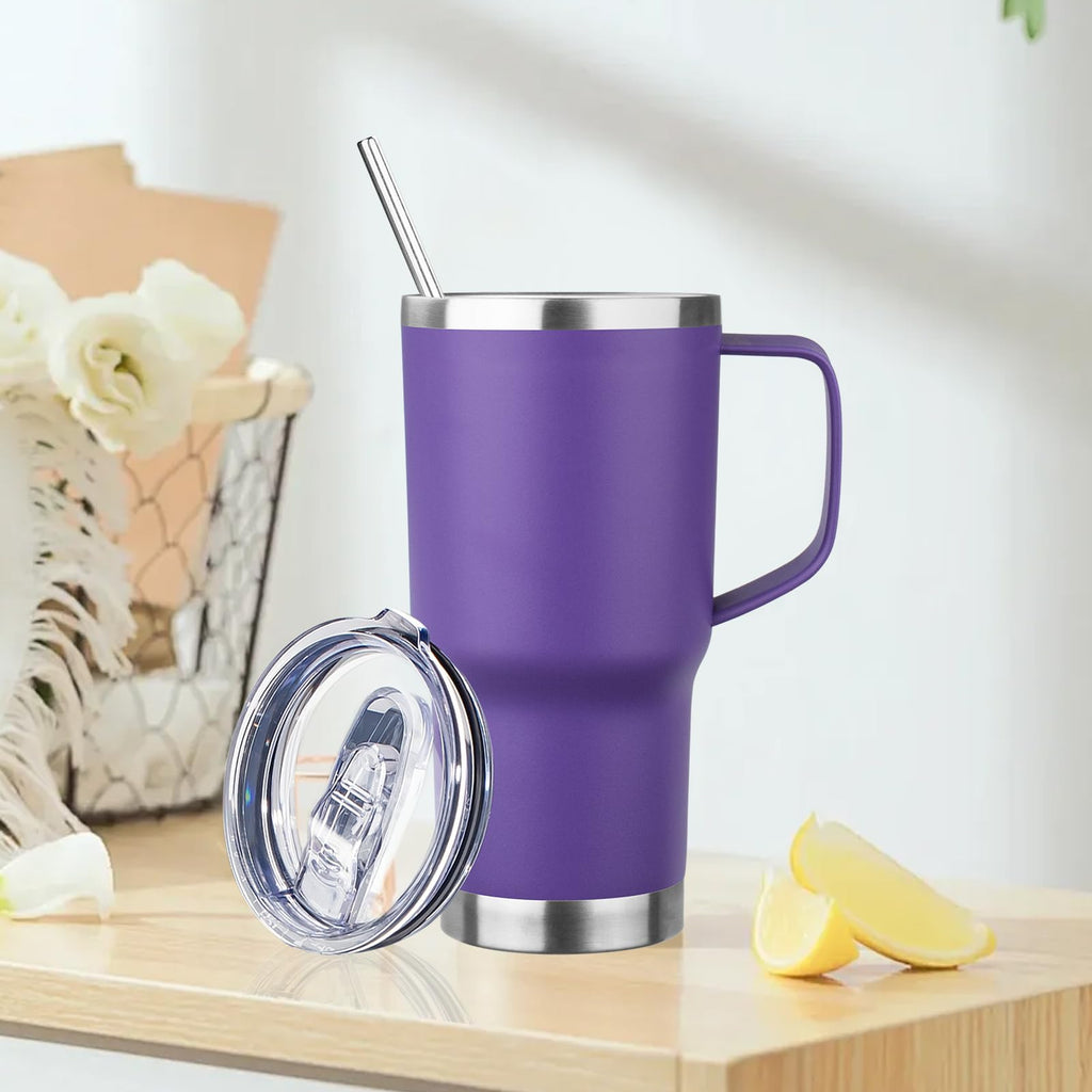 20oz Insulated Stainless Steel Tumbler with Handle and Straw I6234