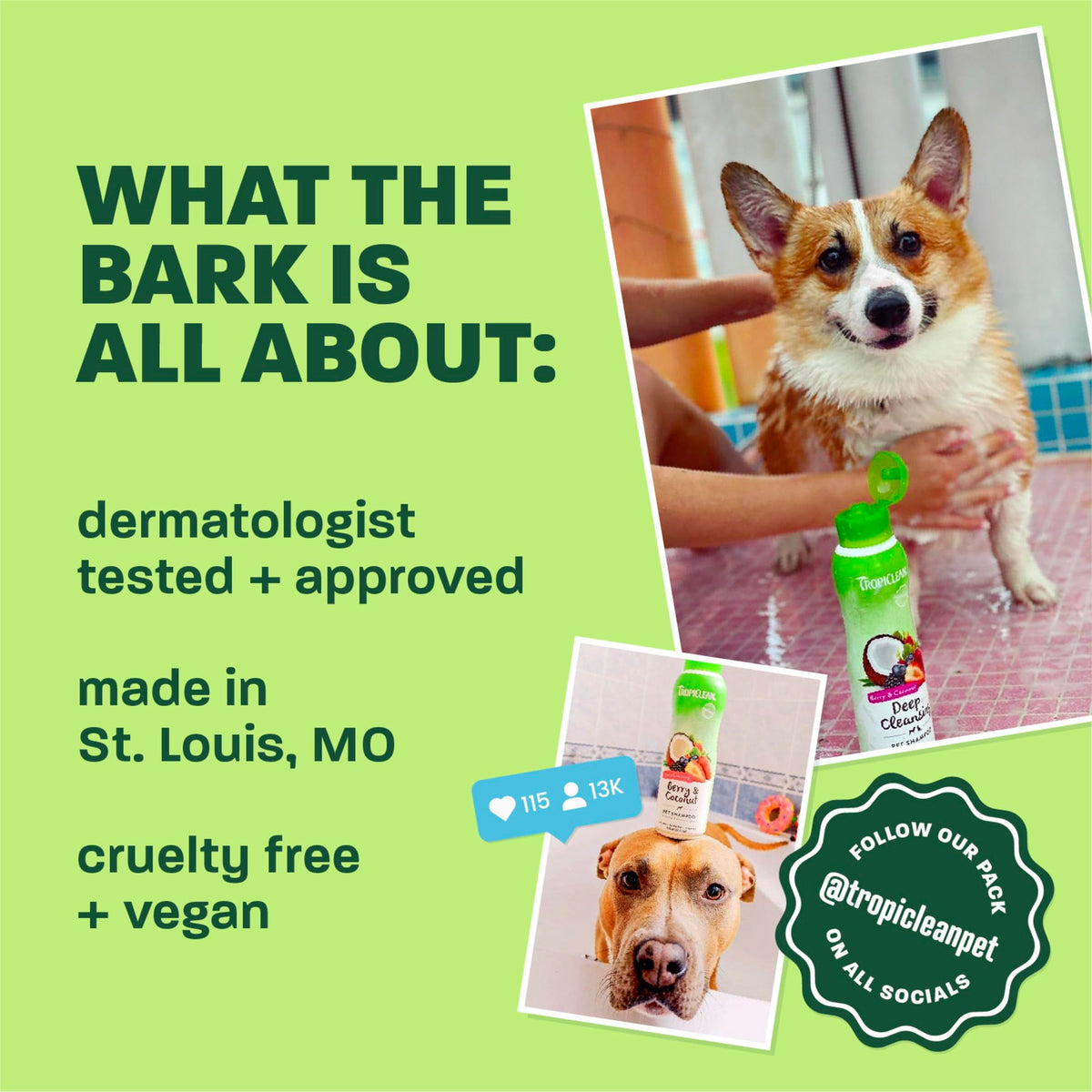 Hypoallergenic Waterless Dog Shampoo 7.4oz Q40901