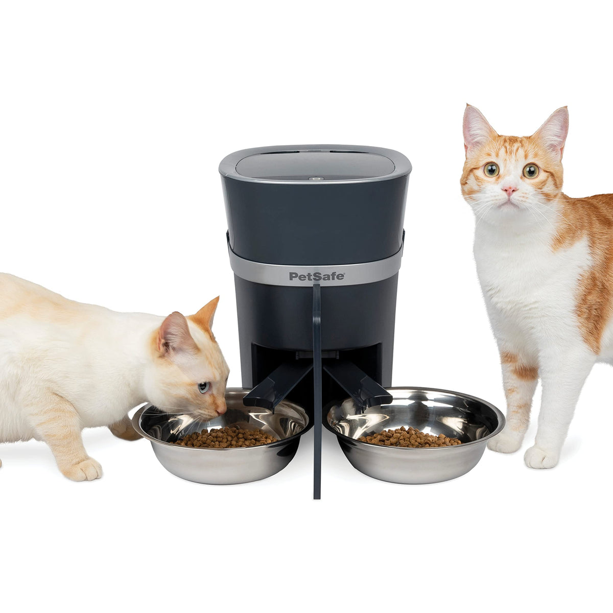 Automatic Pet Feeder with 2-Pet Meal Splitter I48691