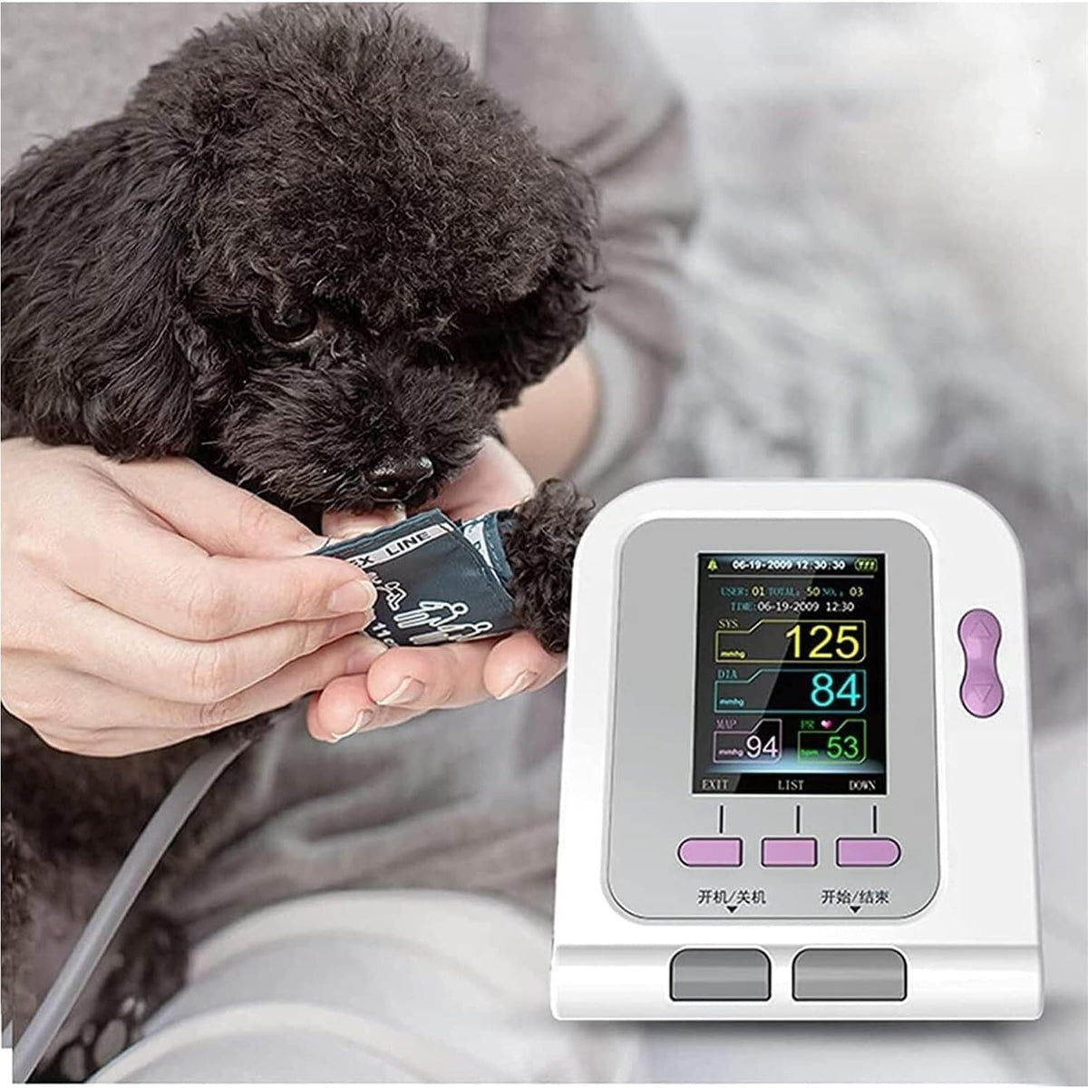 Pet Blood Pressure Monitor with 3 Cuffs I58060