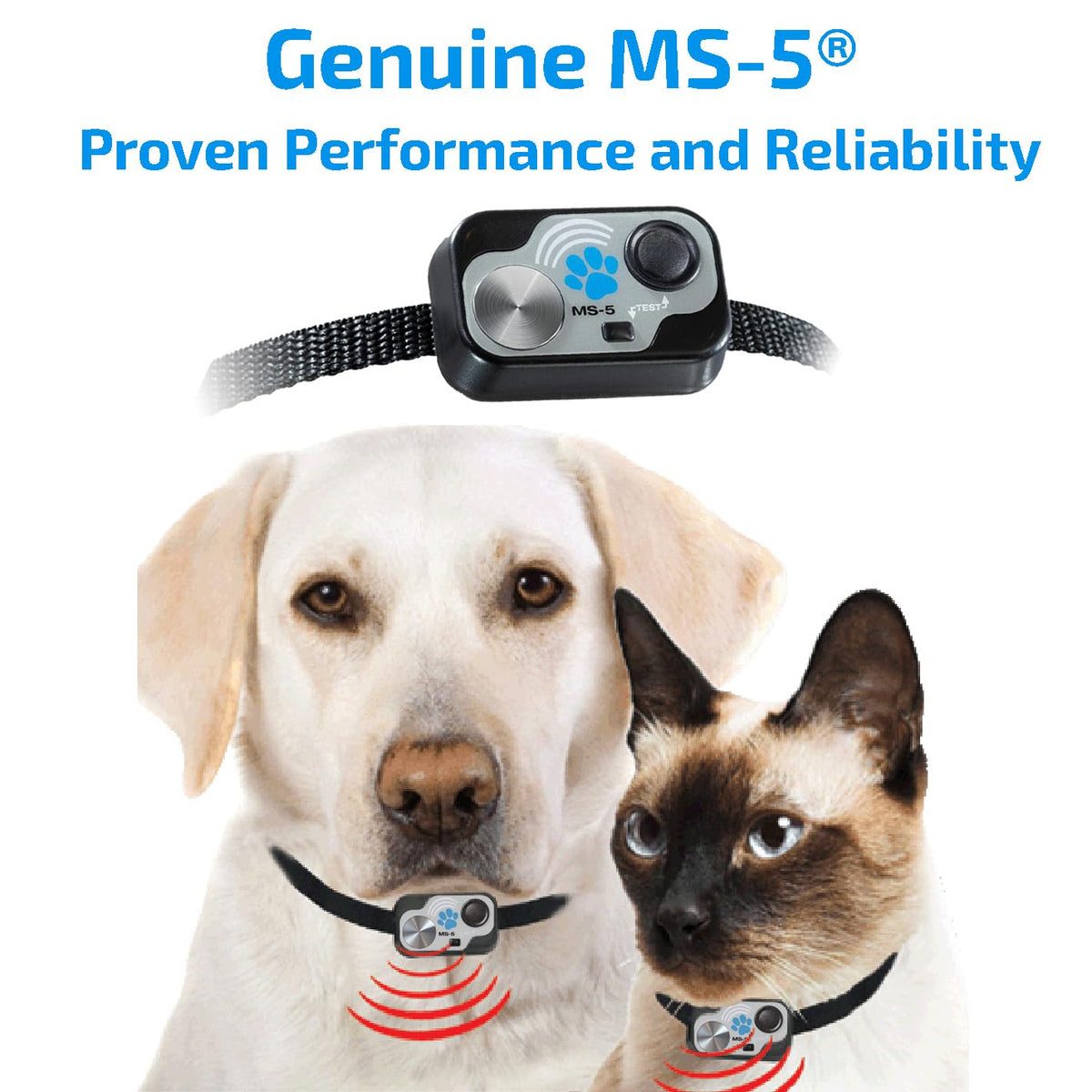Automatic Smart Pet Door Collar I9092