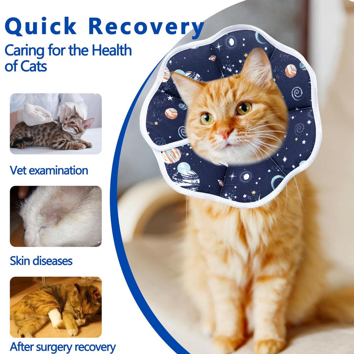 Adjustable Cat Recovery Collar Y7139