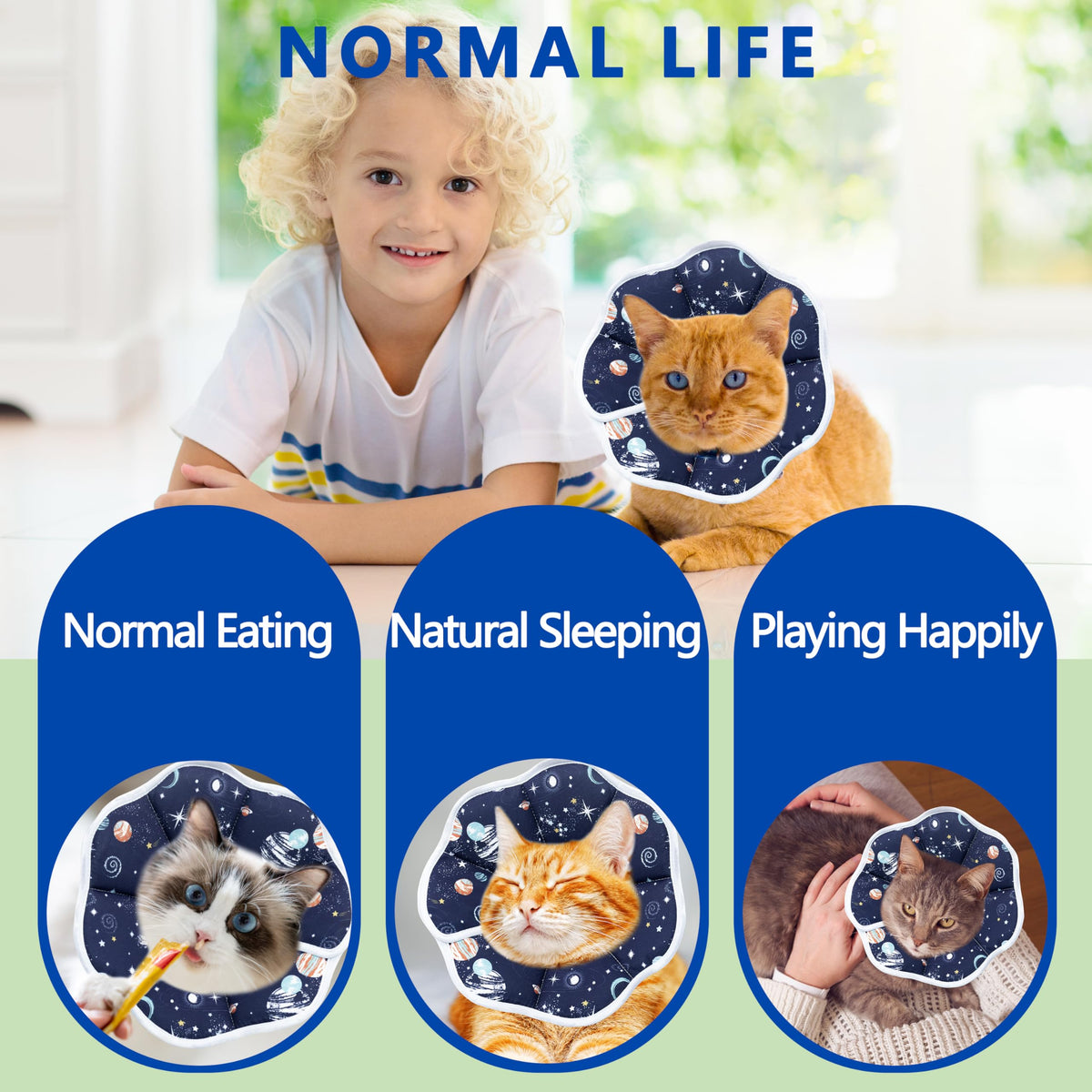 Adjustable Cat Recovery Collar Y7139