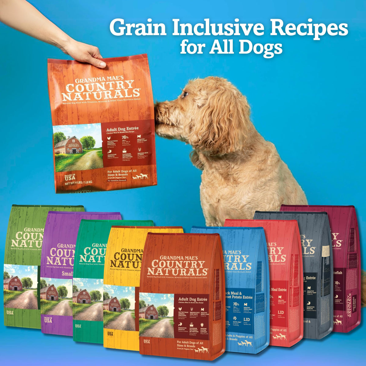 Chicken Fish & Brown Rice Dry Dog Food 32 LB Bag H643