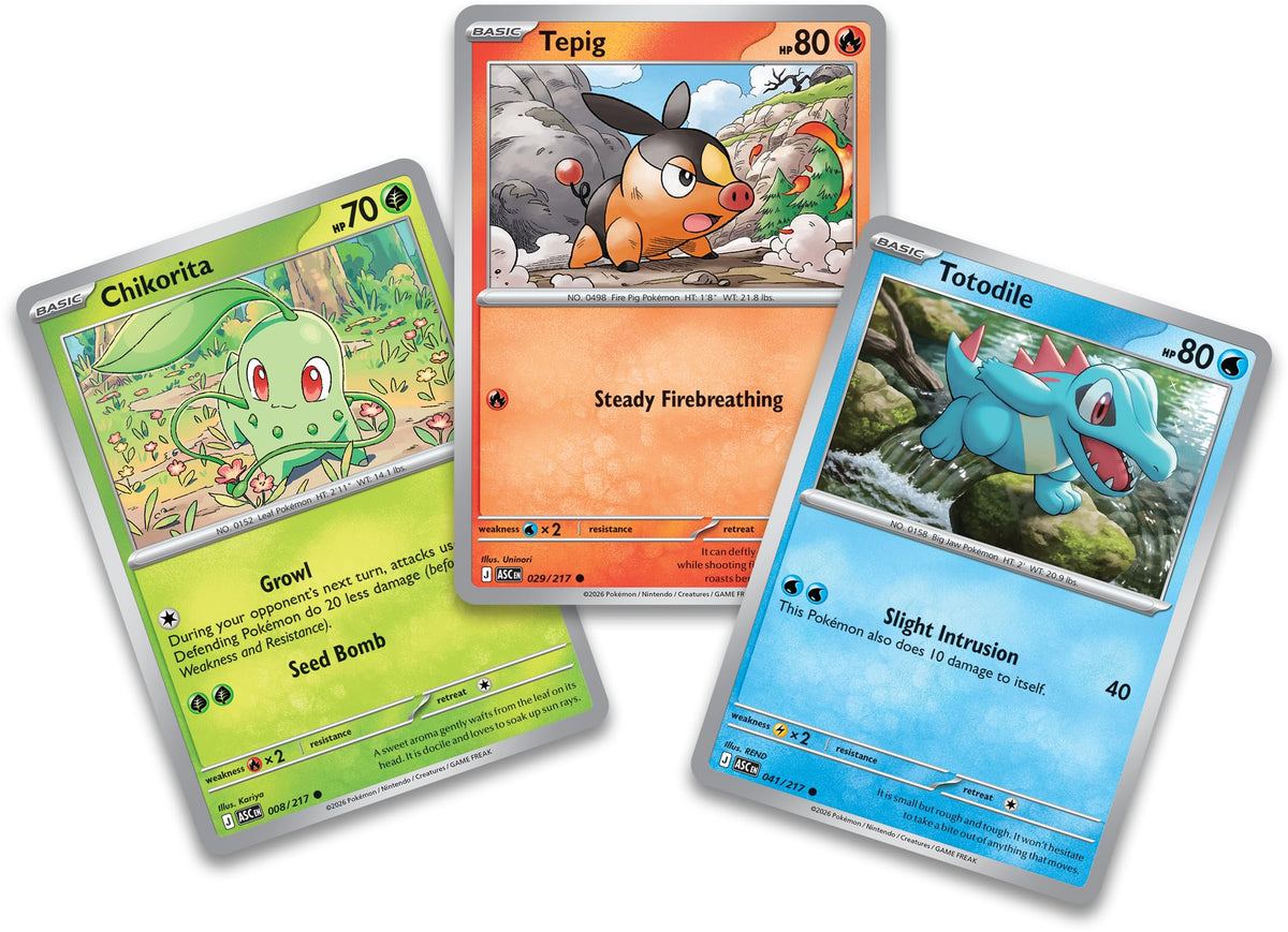 Pokémon TCG 3 Foil Promo Cards 1 Deluxe Pin & 5 Booster Packs L747