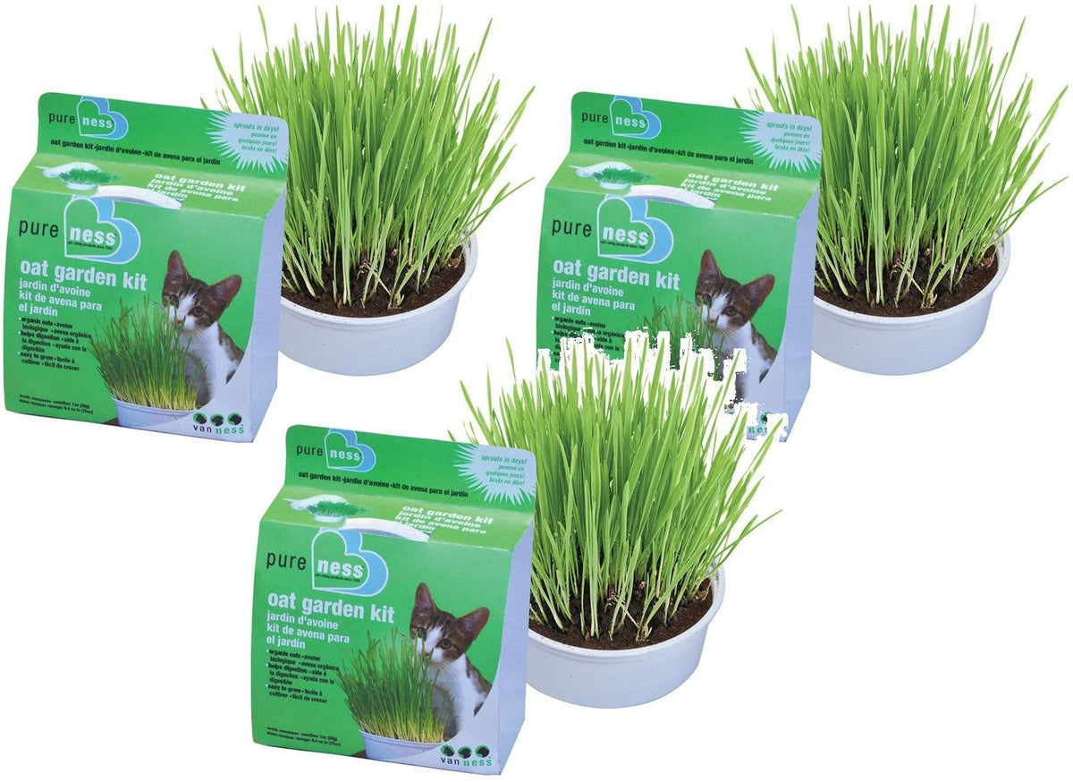 Cat Garden Kit Set of 3 Y949182