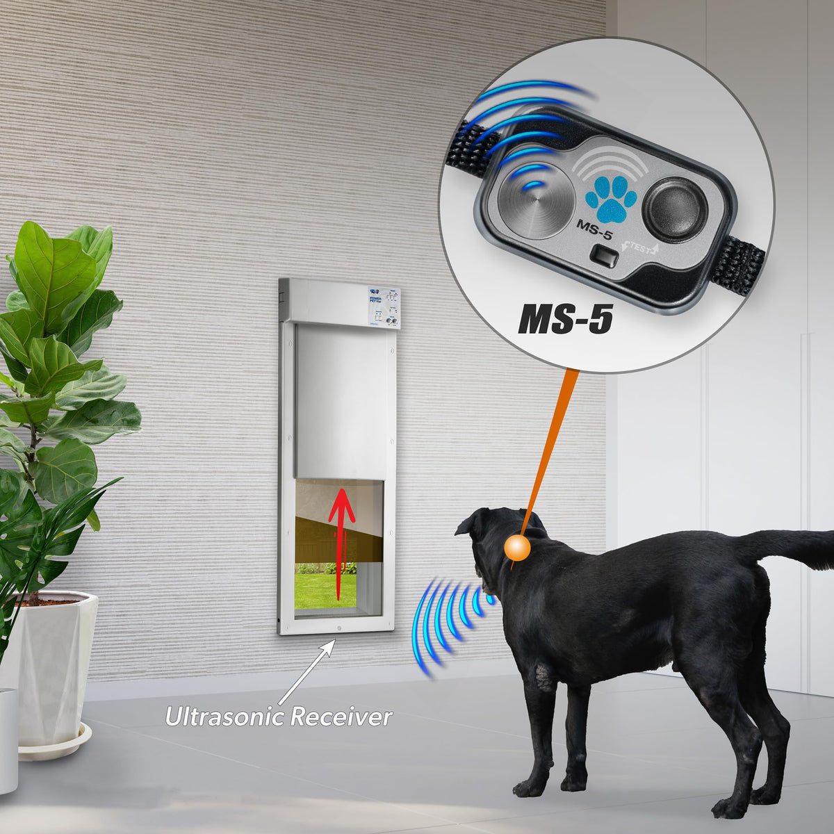 Automatic Smart Pet Door Collar I9092