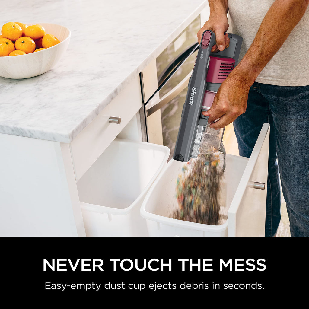 Cordless Stick Vacuum D50812
