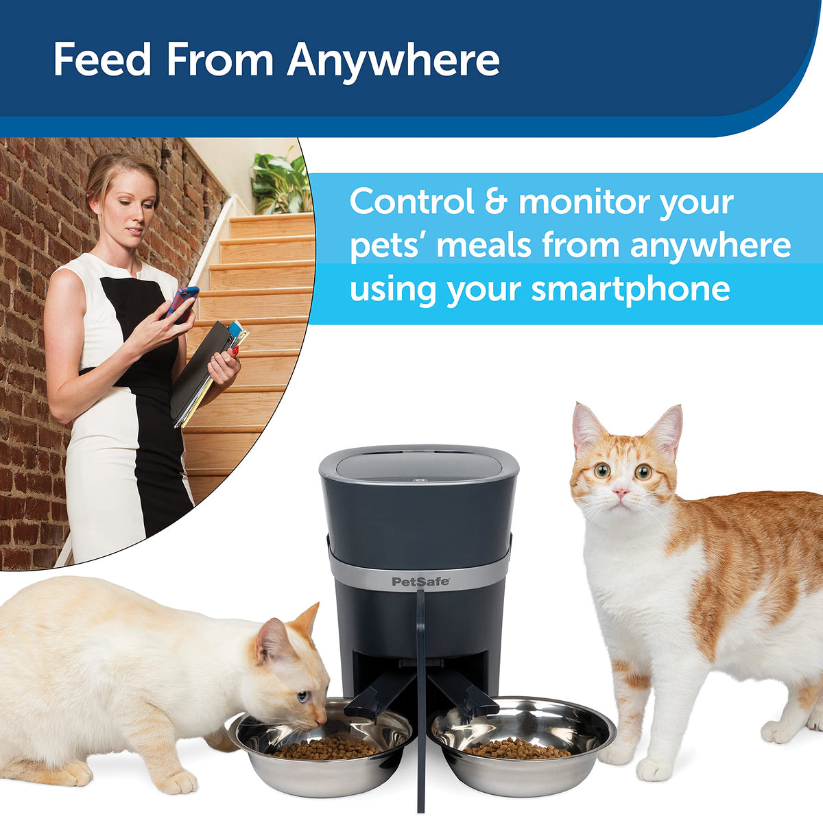 Automatic Pet Feeder with 2-Pet Meal Splitter I48691