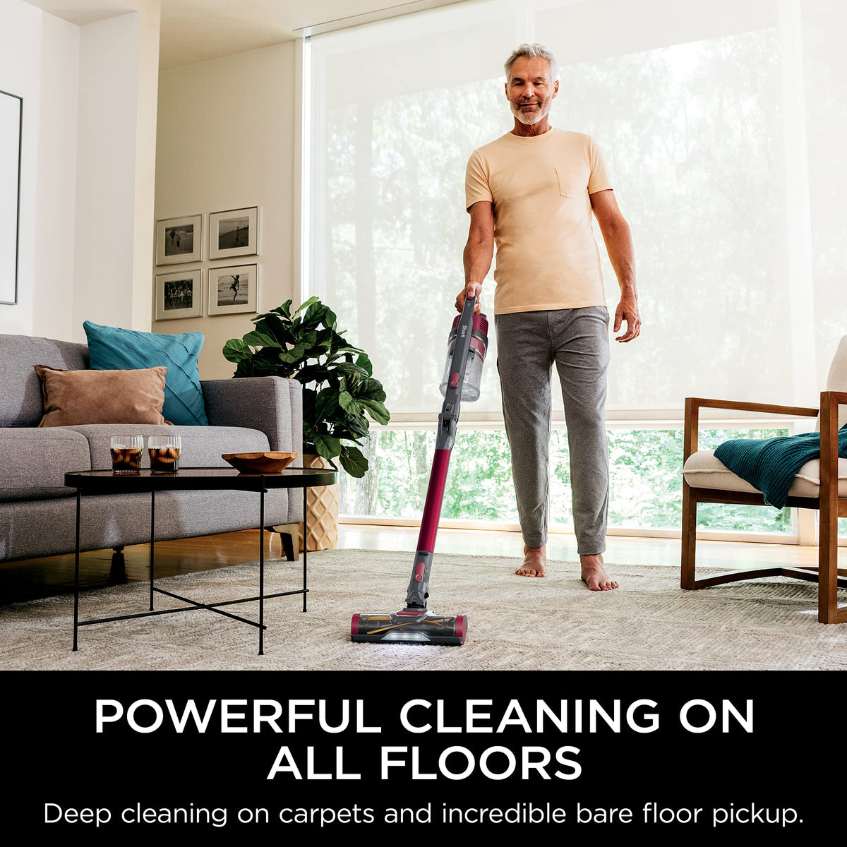 Cordless Stick Vacuum D50812