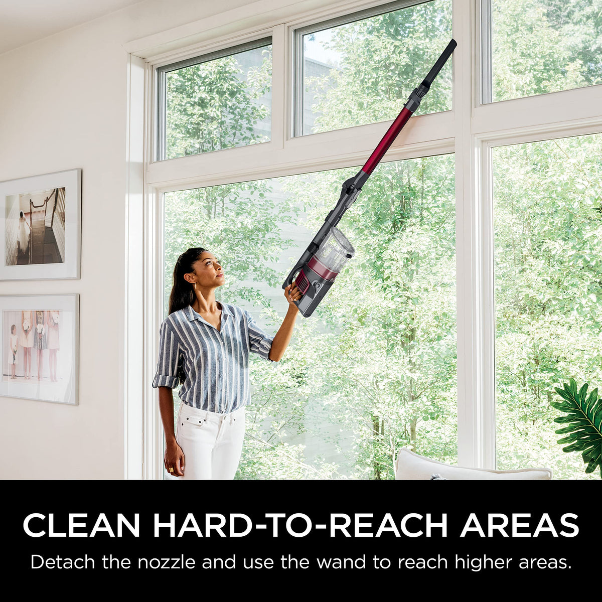 Cordless Stick Vacuum D50812