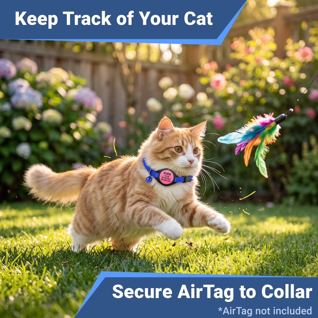 Reflective Breakaway Cat Collar C4724