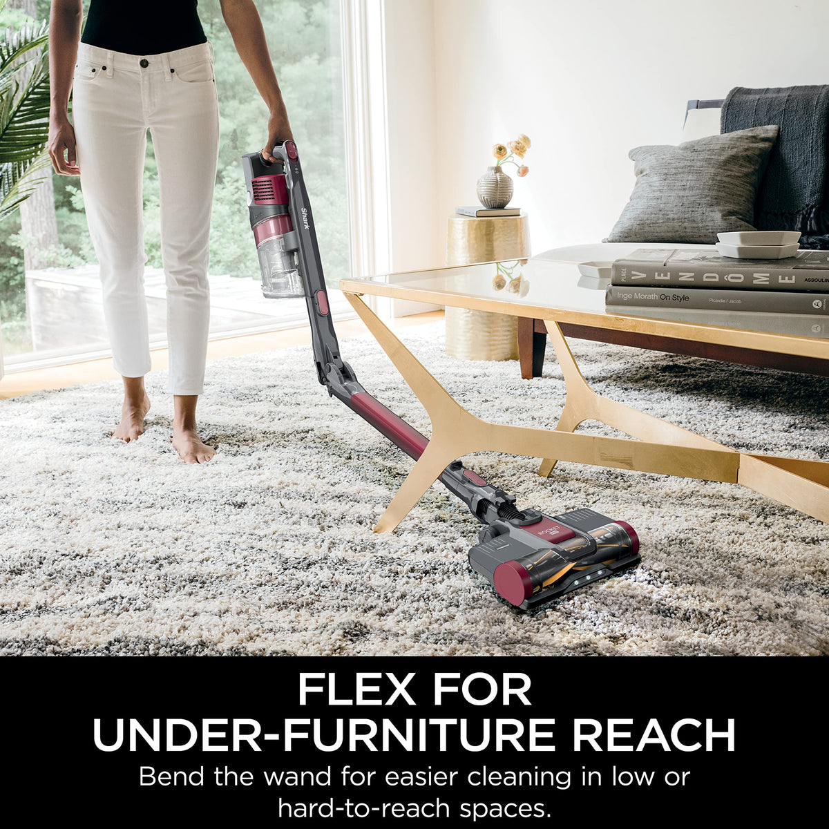 Cordless Stick Vacuum D50812