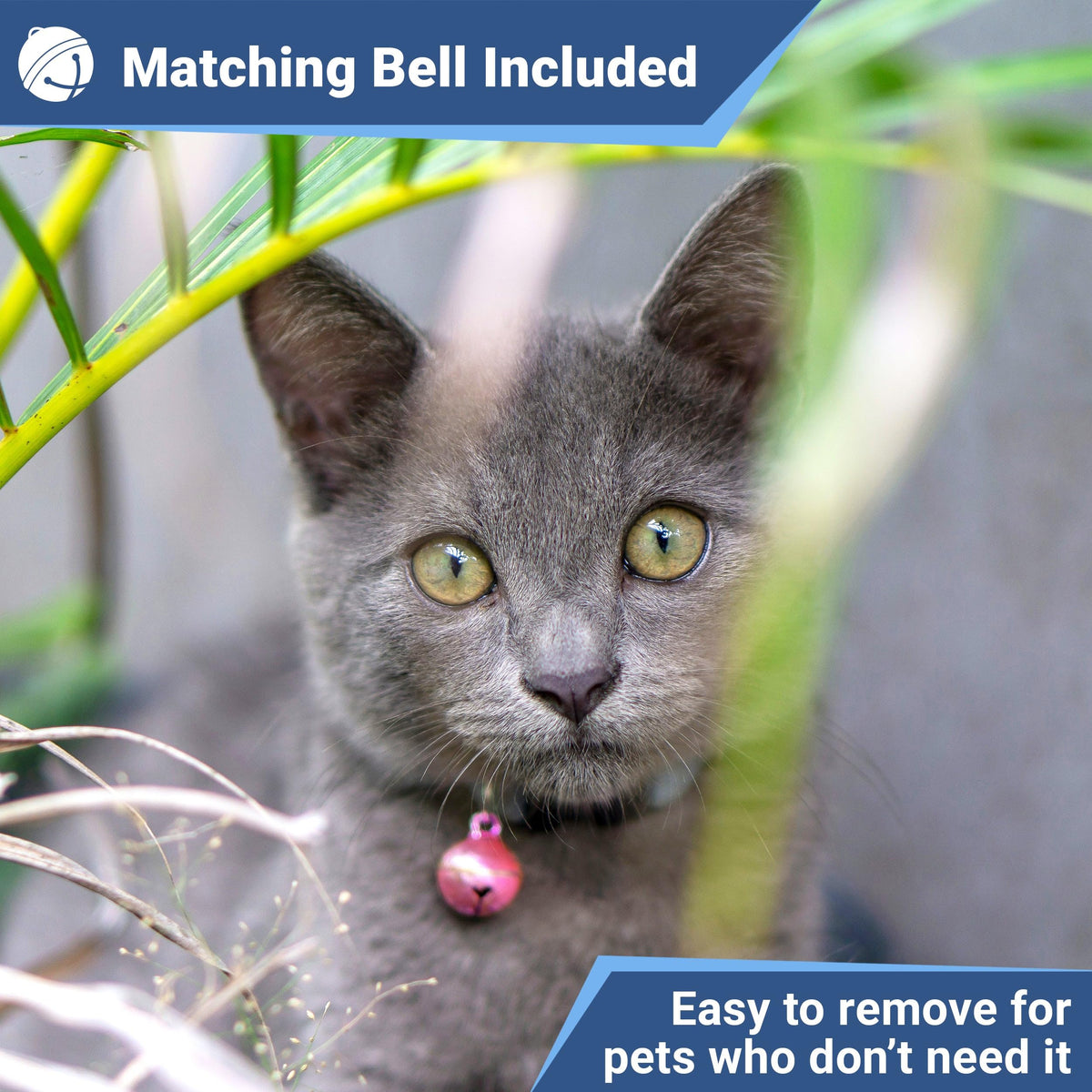 Reflective Breakaway Cat Collar C4724