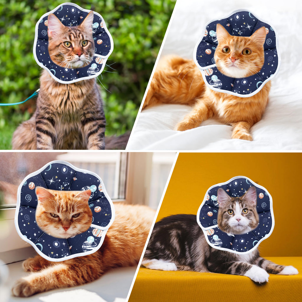 Adjustable Cat Recovery Collar Y7139